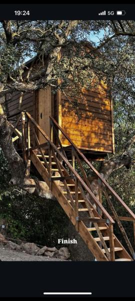 Cabaña del árbol Lavagarural, Villanueva Del Rosario